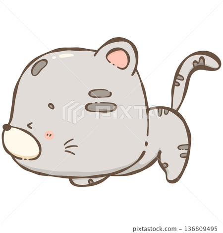 Little gray cat  136809495