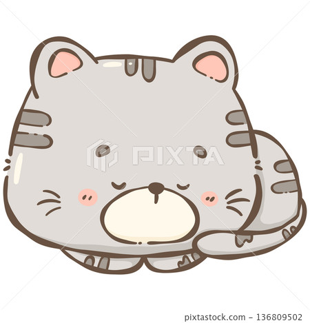 Little gray cat  136809502