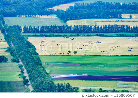 北海道日商周遊券 136809507