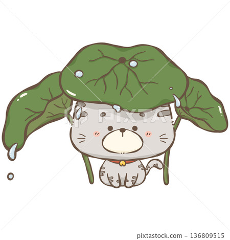 Little gray cat Little gray cat 136809515
