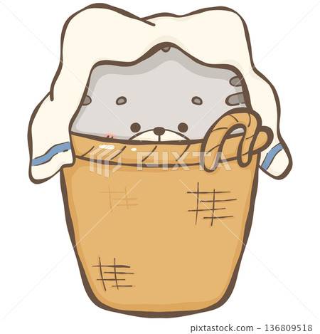 Little gray cat Little gray cat 136809518