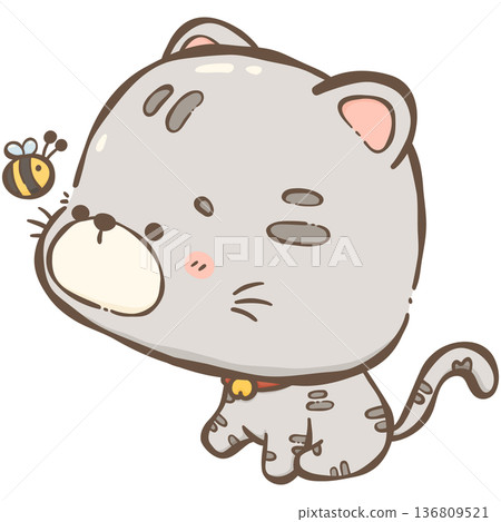 Little gray cat  136809521