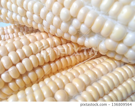 Fresh golden corn with plump kernels, perfect for agriculture, food industry, and healthy cooking inspiration.   136809564