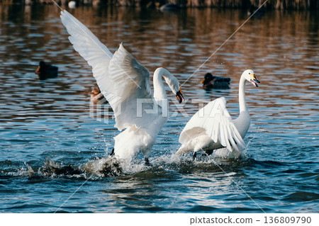 The game is over, and if you lose to intimidation, you win by running away. 136809790