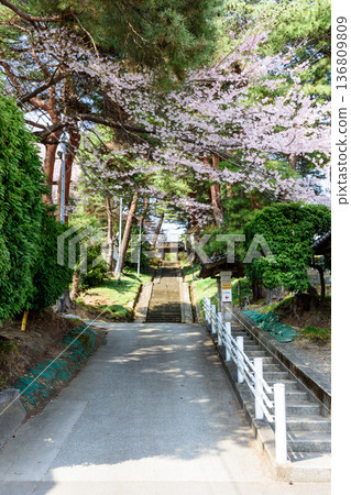 春天漫步仙台市 136809809