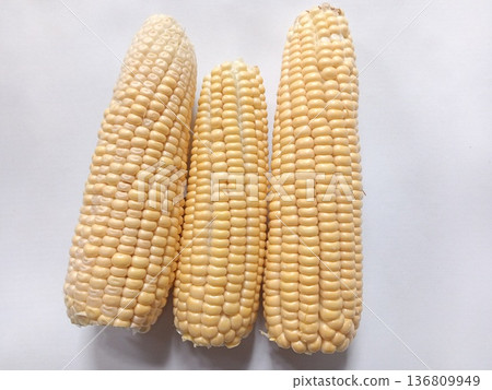 Three fresh corn cobs with light yellow kernels, neatly arranged on a white background, perfect for agriculture and culinary use.   136809949