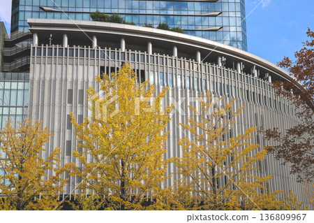 Nov 25 2025 Green Umekita Park Amid Skyscrapers in Osaka Umeda 136809967
