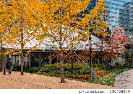 Nov 25 2025 Green Umekita Park Amid Skyscrapers in Osaka Umeda 136809969