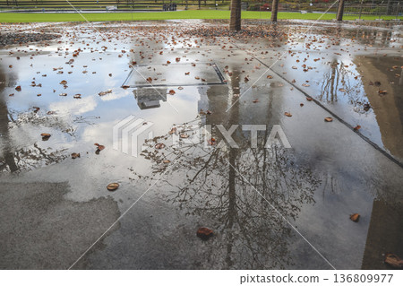 Nov 25 2025 Green Umekita Park Amid Skyscrapers in Osaka Umeda 136809977
