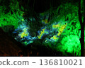 The icicles of Ashigakubo glow mysteriously in green 136810021