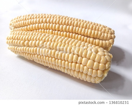 Two fresh corn cobs with pale yellow kernels, tightly packed and glossy, perfect for agriculture and culinary use Two fresh corn cobs with pale yellow kernels, tightly packed and glossy, perfect for agriculture and culinary use 136810231