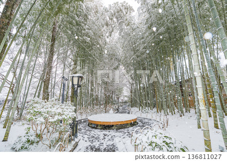 修善寺竹林步道雪景(靜岡縣伊豆市) 修善寺竹林步道雪景(靜岡縣伊豆市) 136811027