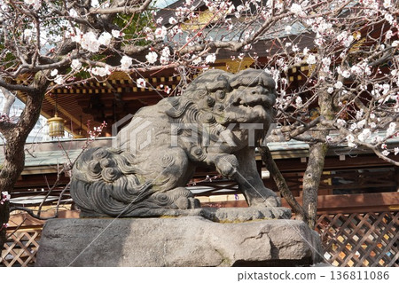 Plum Festival of Yushima Tenmangu 136811086
