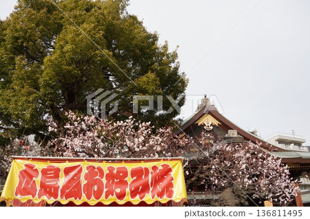 Yushima Tenmangu的Plum節日 Yushima Tenmangu的Plum節日 136811495