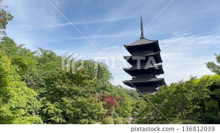 Kyoto Toji Temple's five-story pagoda and lush green grounds Kyoto Toji Temple's five-story pagoda and lush green grounds 136812039