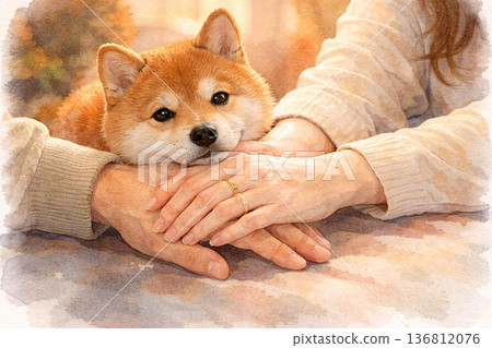 夜幕下的暖色調微距照片，一隻紅色柴犬的嘴巴和交疊的手之間，靜靜地呈現出一幅畫面。 136812076