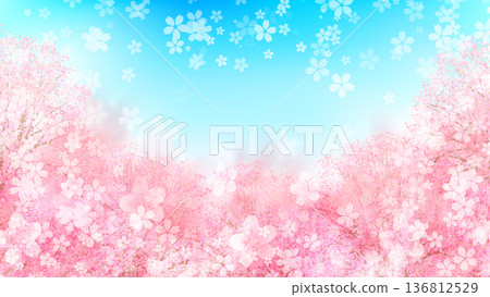 櫻花春天風景背景 136812529