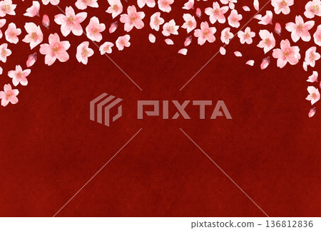 Gorgeous Japanese-style background material featuring watercolor illustrations of red Japanese paper and cherry blossoms in full bloom 136812836