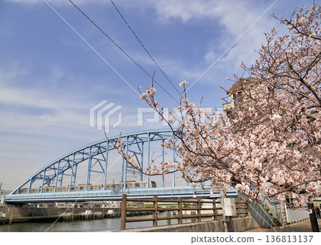 東京地鐵東西線江戶川第一橋和堺川西水門的櫻花盛開 東京地鐵東西線江戶川第一橋和堺川西水門的櫻花盛開 136813137