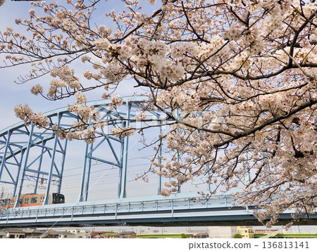 Cherry blossoms at Edogawa First Bridge on the Tokyo Metro Tozai Line and Sakaigawa West Water Gate 136813141