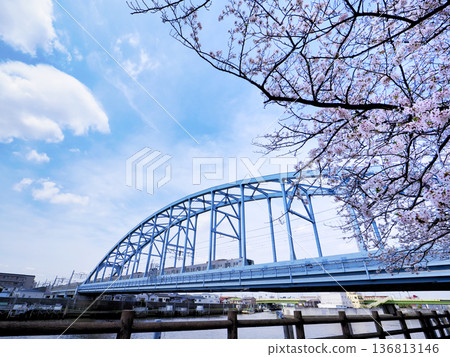 Cherry blossoms at Edogawa First Bridge on the Tokyo Metro Tozai Line and Sakaigawa West Water Gate Cherry blossoms at Edogawa First Bridge on the Tokyo Metro Tozai Line and Sakaigawa West Water Gate 136813146
