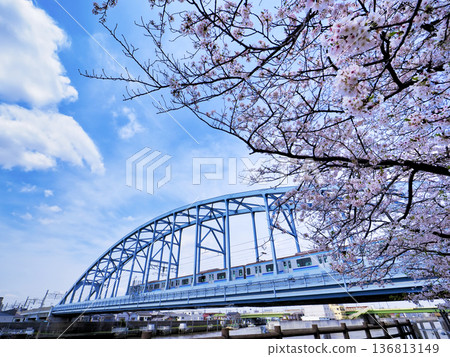 Cherry blossoms at Edogawa First Bridge on the Tokyo Metro Tozai Line and Sakaigawa West Water Gate Cherry blossoms at Edogawa First Bridge on the Tokyo Metro Tozai Line and Sakaigawa West Water Gate 136813149