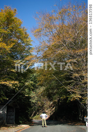 有紅色葉子的山毛櫸森林 有紅色葉子的山毛櫸森林 136813598