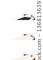 Reception counter with transparent background 136813639