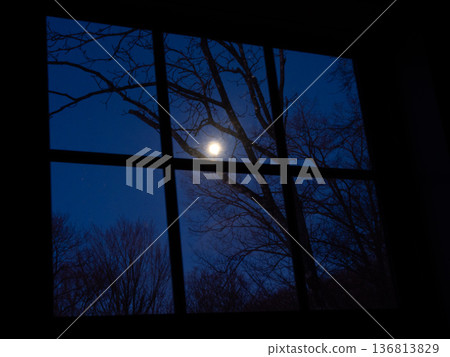 窗邊的森林漂浮在月光下的夜晚 窗邊的森林漂浮在月光下的夜晚 136813829