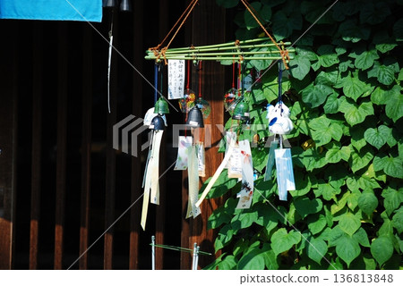 風鈴在風中搖曳 136813848