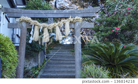 橫須賀市荒崎市的熊野神社 橫須賀市荒崎市的熊野神社 136814218