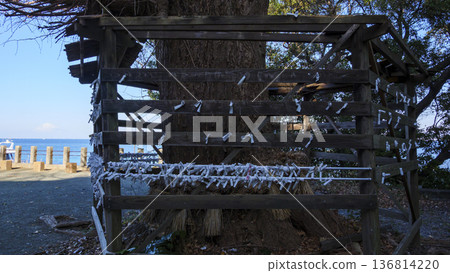 Kumano Shrine in Arasaki, Yokosuka City Kumano Shrine in Arasaki, Yokosuka City 136814220