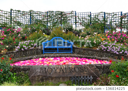 水Bay生態公園玫瑰園 水Bay生態公園玫瑰園 136814225