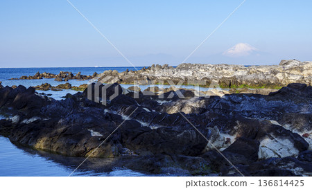 Winter at Araki Park Winter at Araki Park 136814425