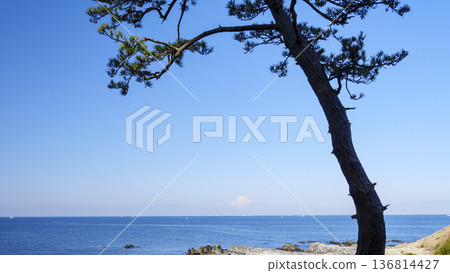 Winter at Araki Park Winter at Araki Park 136814427