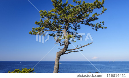 Winter at Araki Park Winter at Araki Park 136814431