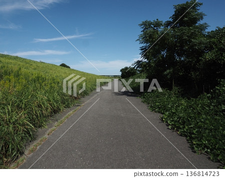 A straight road 136814723