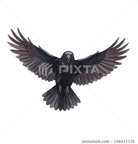 Watercolor style crow illustration Watercolor style crow illustration 136815176