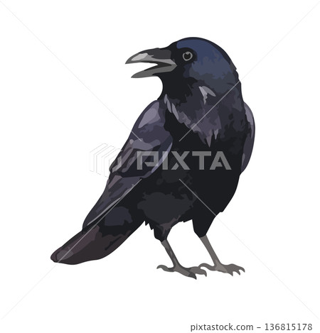 水彩風格的烏鴉插圖 136815178