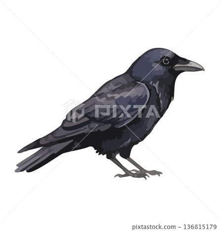 Watercolor style crow illustration Watercolor style crow illustration 136815179