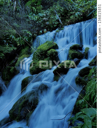 苔蘚和瀑布 136815851