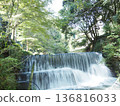 瀑布流過綠色 136816033