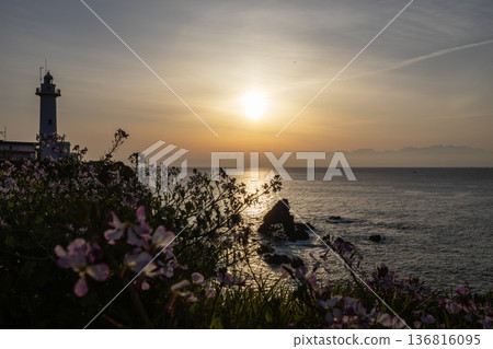 黎明時分的大塛燈塔 黎明時分的大塛燈塔 136816095