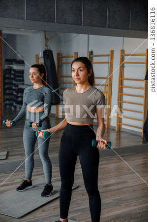 Women training with dumbbells in a gym during a fitness session in morning light Women training with dumbbells in a gym during a fitness session in morning light 136816116