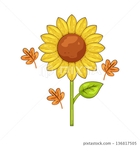 Illustration of sunflower Illustration of sunflower 136817505