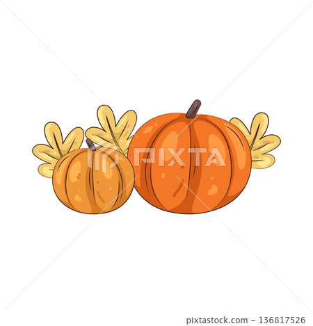 Illustration of pumpkin Illustration of pumpkin 136817526