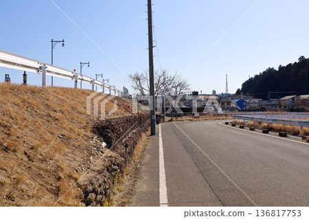 Bank gabions, or snake baskets 136817753