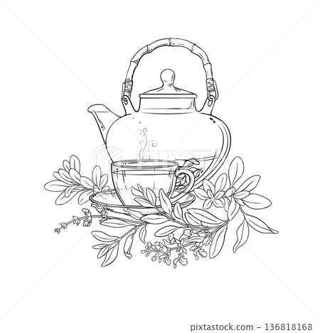 Cup of Sage Tea Outline Illustration. 136818168