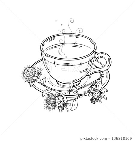 Cup of Saflower Tea Outline Illustration. 136818169