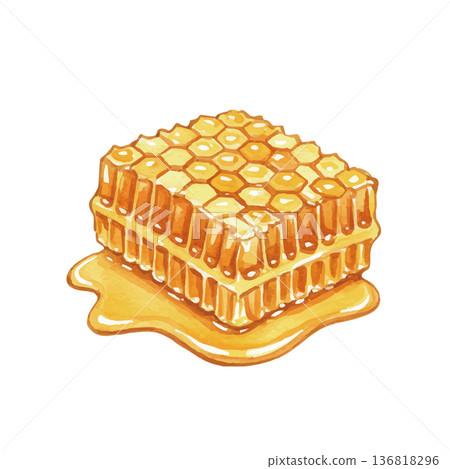 水彩風格的蜂蜜插圖 136818296